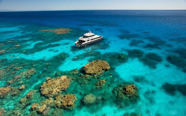 Premium half-day outer reef — Cairns