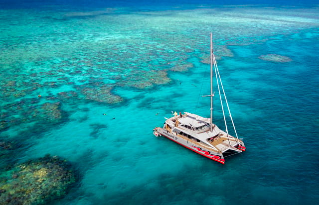 Premium catamaran reef cruise — Cairns