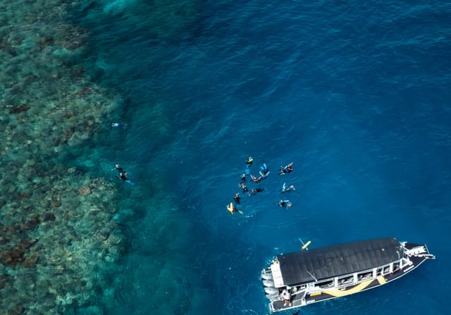 Half-day reef snorkel — Cairns