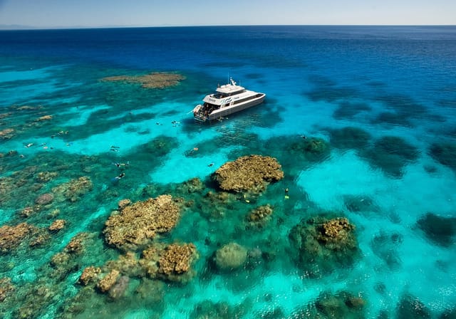 Premium half-day outer reef — Cairns
