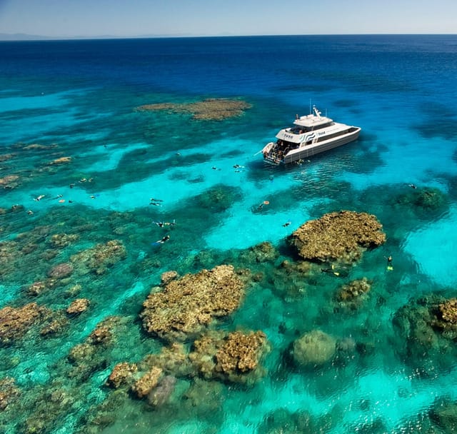 Premium half-day outer reef — Cairns