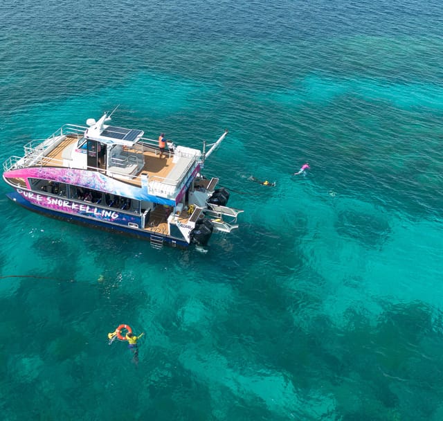All-inclusive half-day — Cairns