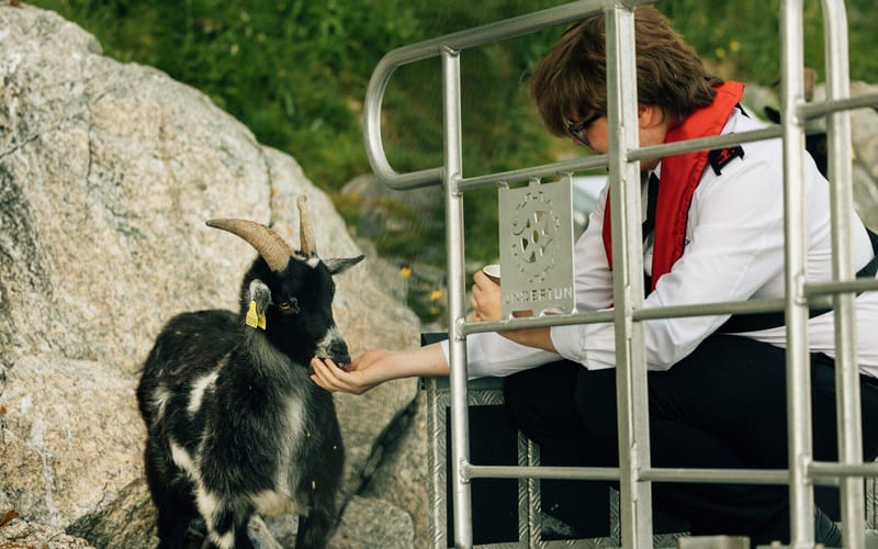 Electric Lysefjord cruise — GetYourGuide gallery photo 5