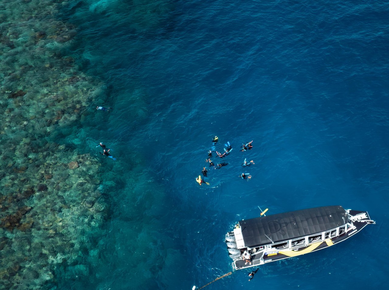 Snorkel group beside the boat on the outer reef