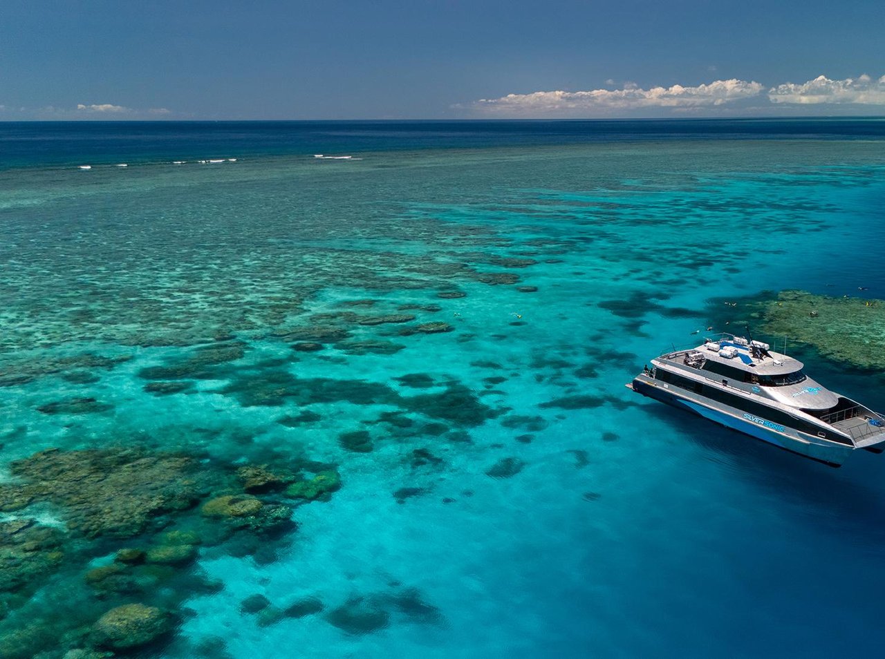 Snorkeller over Agincourt Reef