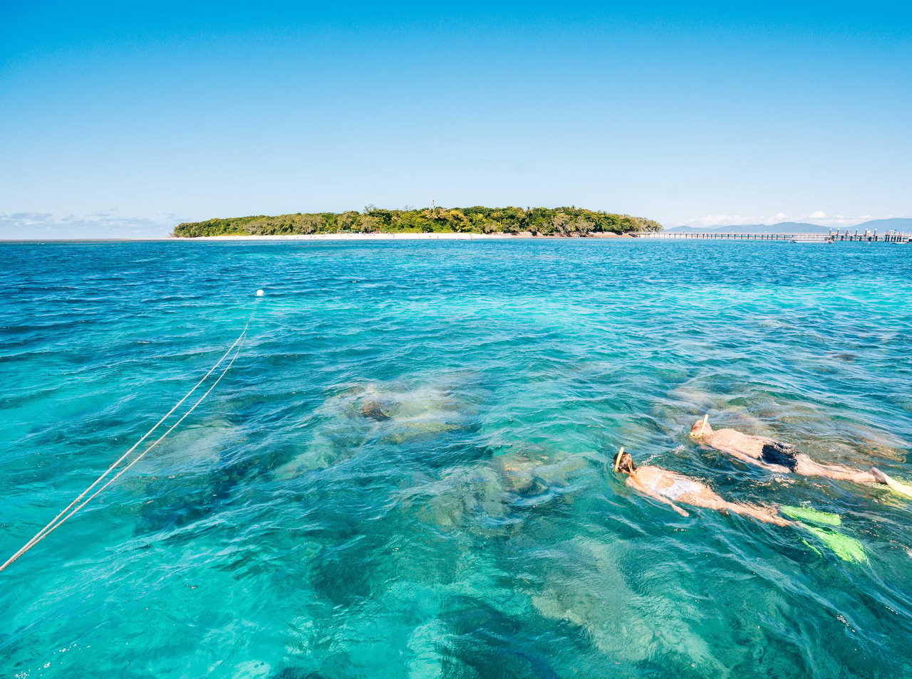 Green Island on the horizon with snorkellers in front
