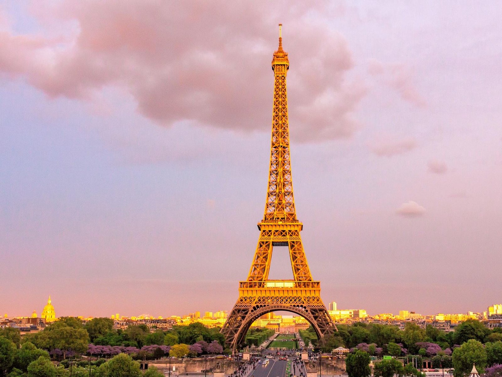 Eiffel Tower: 2nd Floor Access or Summit Access