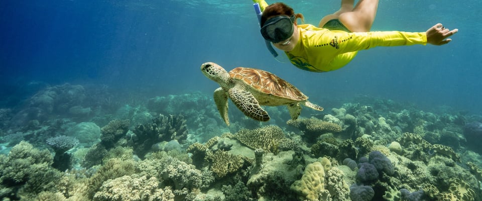 Cape Tribulation Ocean Safari — Cape Tribulation
