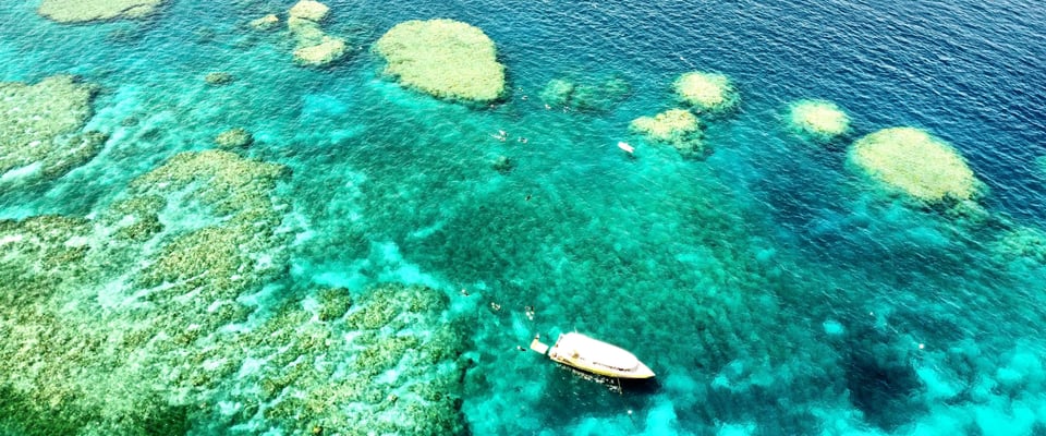 Bait Reef + Whitehaven — Airlie Beach