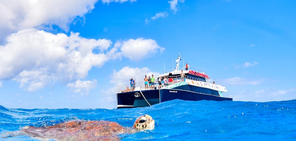 Reef & Indigenous culture day — Cairns