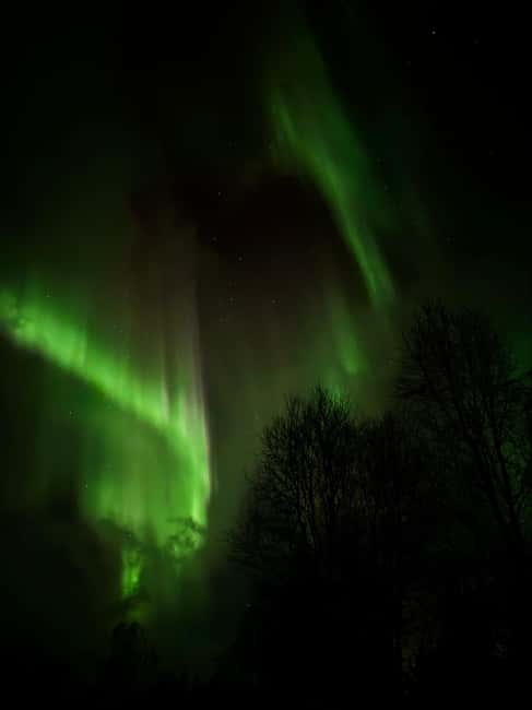 image n.2 of From Tromsø: Northern Lights Tour in Minibus with Photos activity in Tromsø, uploaded by supplier