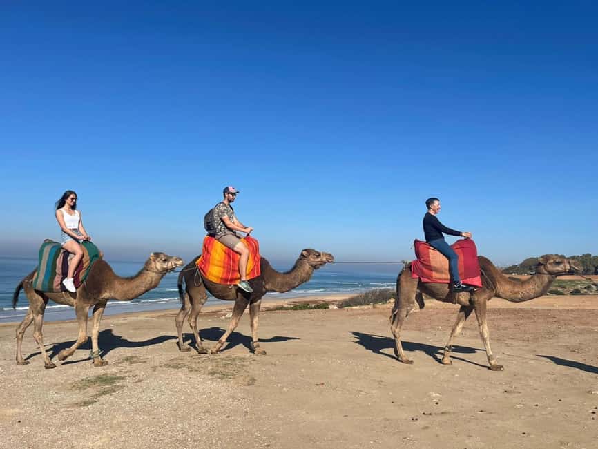 imagem n.13 de De Tânger: Cap Spartel e Gruta de Hércules com passeio de camelo atividade em Tânger, carregada pelo fornecedor
