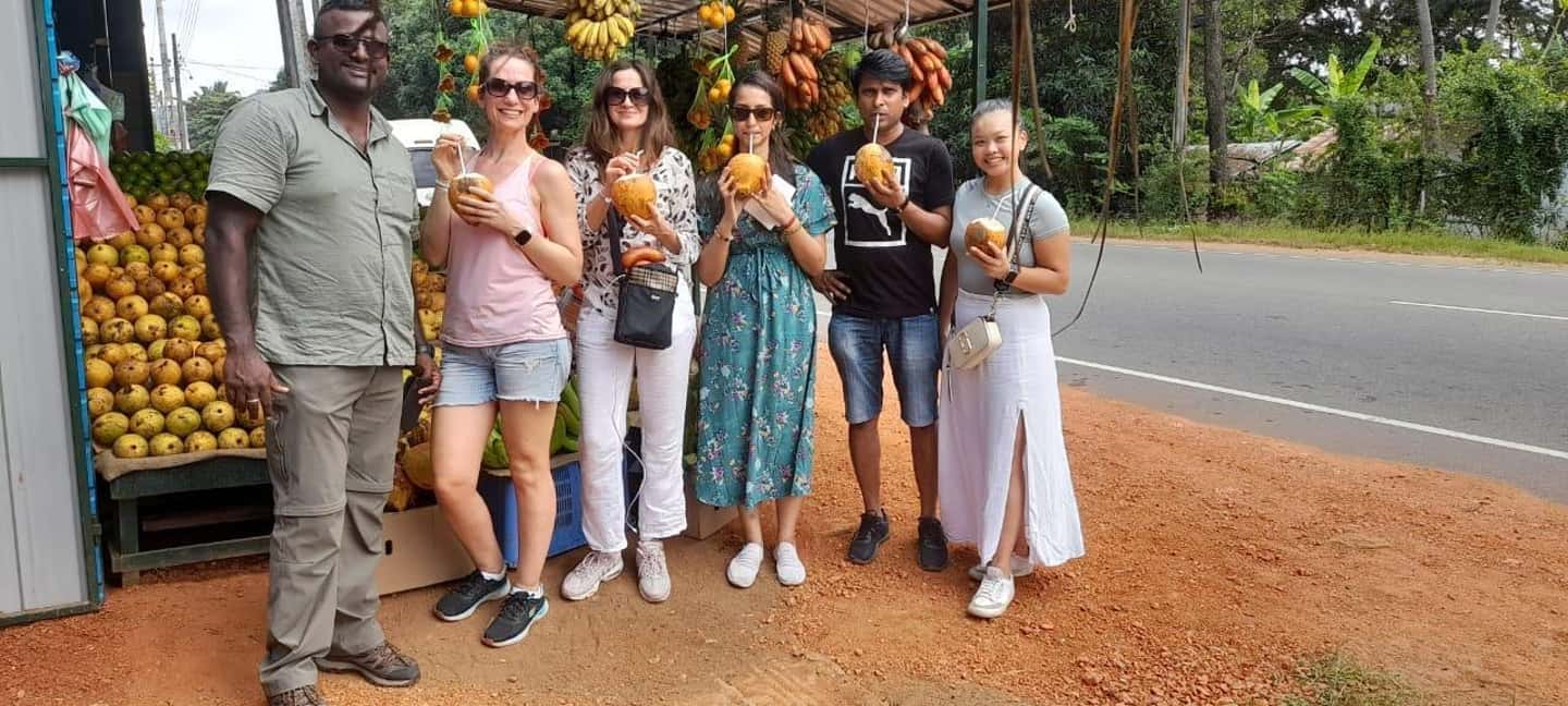 image n.2 of From Colombo: Sigiriya and Dambulla Day Trip and Safari activity in Sigiriya, uploaded by supplier
