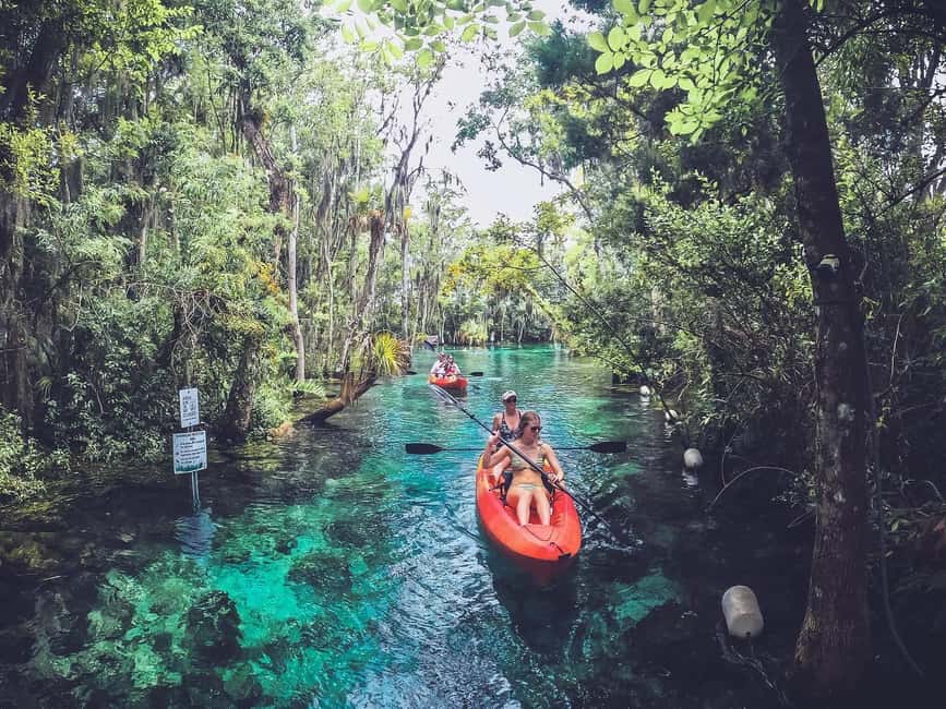 image n.11 of Crystal River: Kayak Rental activity in Crystal River, uploaded by supplier