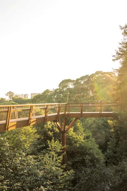 image n.13 of Porto: Serralves Foundation All Access Pass activity in Porto, uploaded by supplier