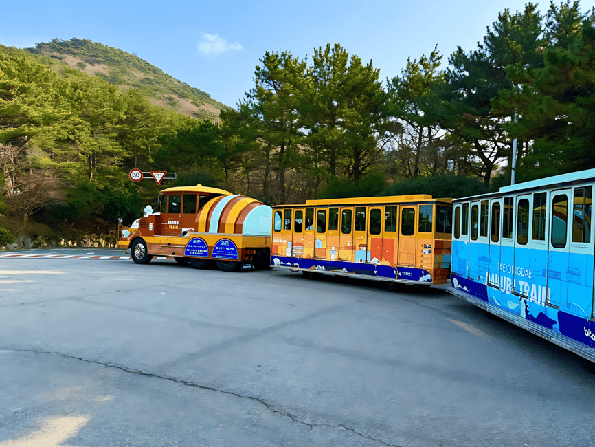 image n.11 of From Busan Port: Sightseeing Tour for Cruise Passengers activity in Busan, uploaded by supplier