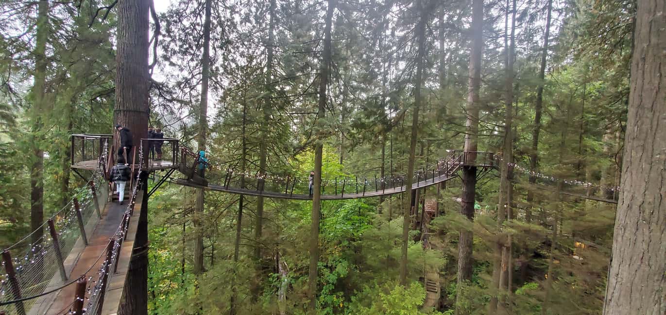 image n.6 of Capilano Bridge, Grouse Mountain, Stanley Park & Gastown activity in Vancouver, uploaded by supplier