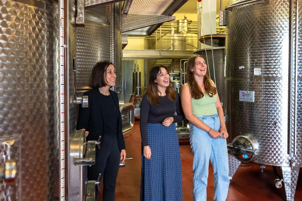Immagine nº 12 di Da Firenze: Toscana, Siena, San Gimignano e pranzo in cantina attività a Siena, caricata dal fornitore