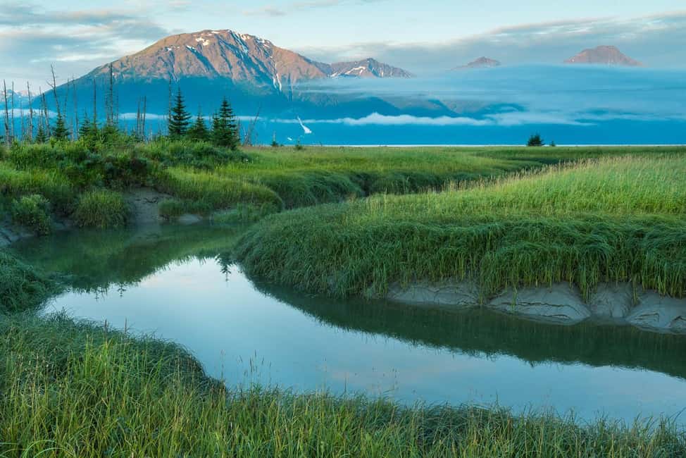 image n.5 of Anchorage: Turnagain Arm Highlights Photography Day Trip activity in Alaska, uploaded by supplier