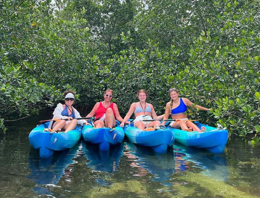 imagen n.º 2 de Cayo Hueso: Excursión de 2 horas en kayak por los manglares actividad en Florida, subida por el proveedor