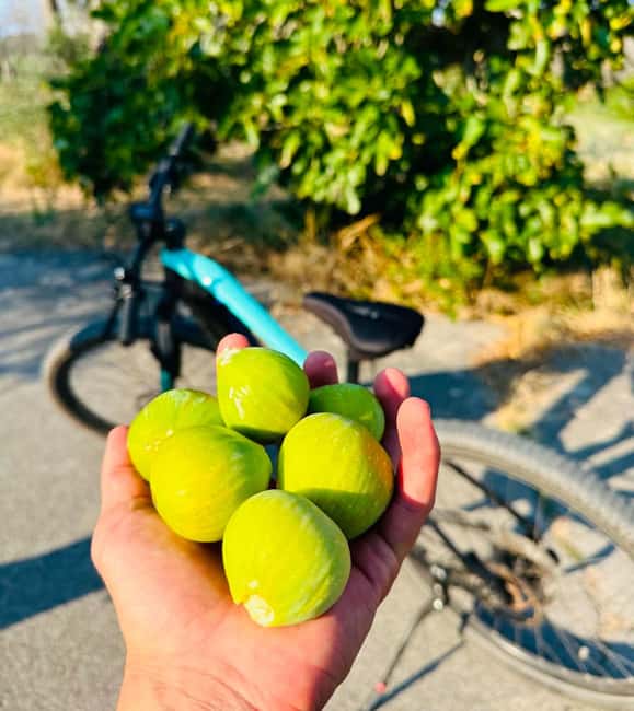 Immagine nº 7 di Tour autoguidato in EBIKE da Lecce, Grotta della Poesia, Otranto - 50 km attività a Otranto, caricata dal fornitore
