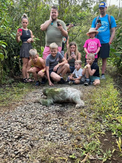 Immagine nº 3 di Guanacaste: Santuario dei bradipi e avventura alle cascate attività a Provincia di Limón, caricata dal fornitore
