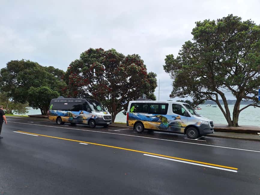 imagem n.4 de Auckland: excursão em grupo a Cathedral Cove e Hot Water Beach atividade em Ilha Norte, carregada pelo fornecedor