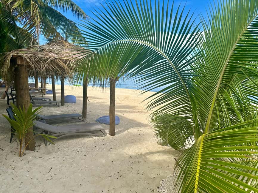 image n.15 of Fiji: Captain Cook Cruises - Island & Reef Day Trip activity in Denarau Island, uploaded by supplier