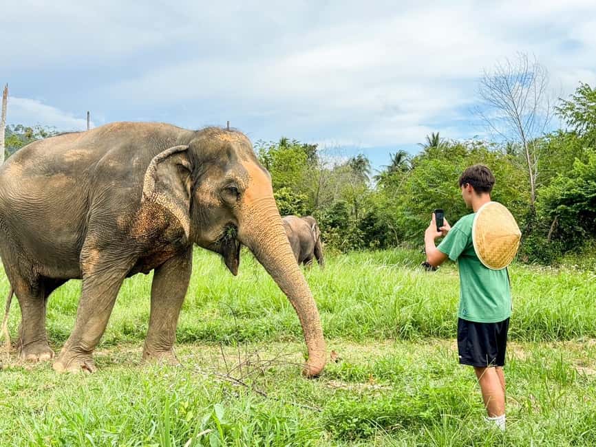 image n.13 of Koh Samui: Ethical Elephant Home Guided Tour with Transfers activity in Surat Thani City, uploaded by supplier
