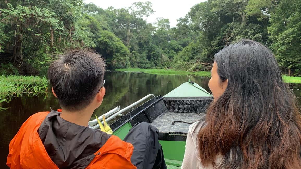 imagen n.º 12 de Amazonas: Paseo en barco con un amazónico local actividad en Manaos, subida por el proveedor