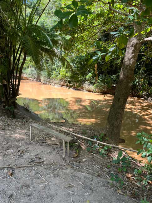 image n.6 of San Juan - Arecibo: midwest expedition waterfalls and beach activity in Manatí, uploaded by supplier