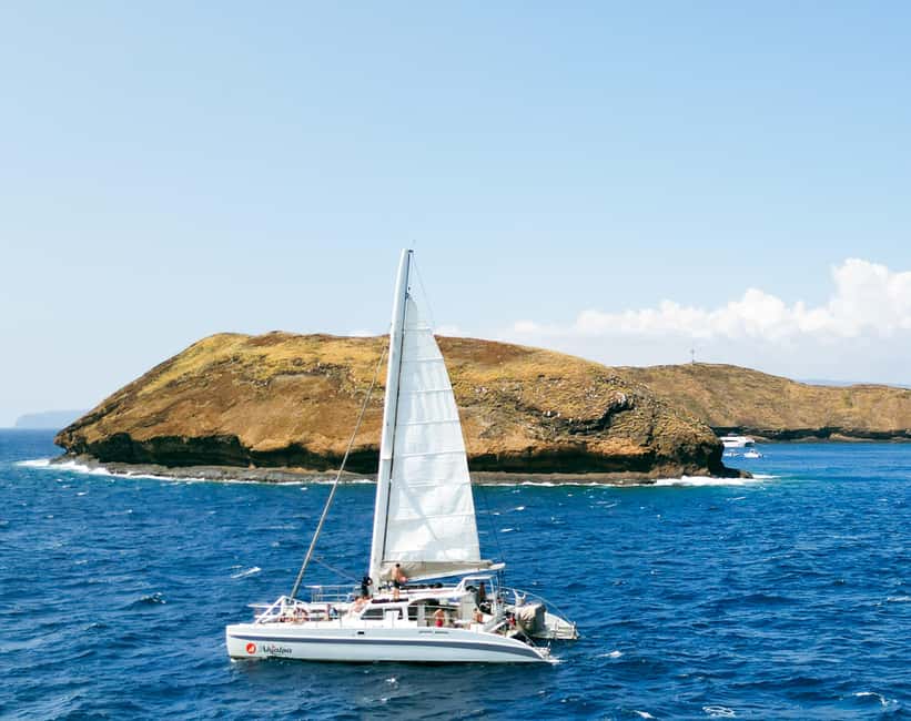 image n.4 of Maui: Molokini Snorkel and Performance Sail with Lunch activity in Hawaii, uploaded by supplier