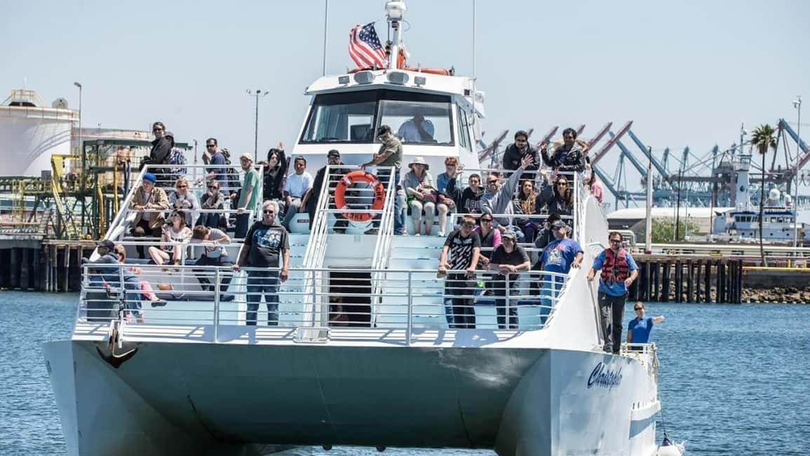 bild nr.8 av Long Beach: Valskådningskryssning och delfinskådning aktivitet i Los Angeles, uppladdad av arrangören