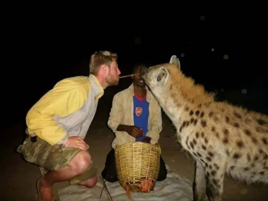 image n.1 of 2 Day Harar City Tour & Hyena Feeding activity in Addis Ababa, uploaded by supplier