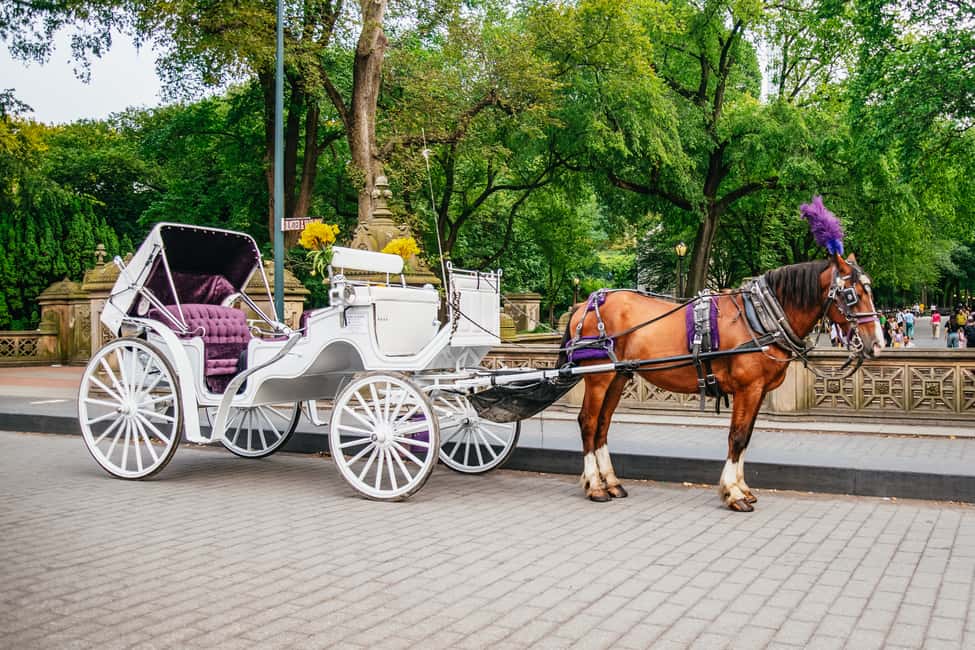 Bild Nr. 5 von NYC: Geführte Kutschfahrt im Central Park Aktivität in New York, hochgeladen vom Anbieter