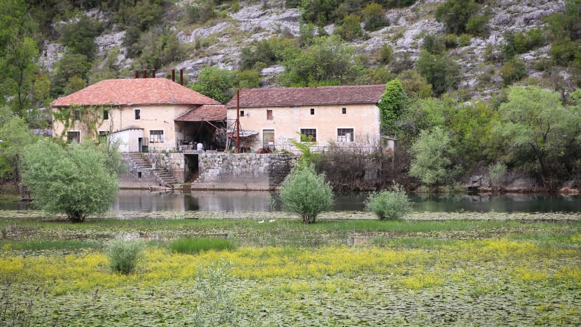 Bild Nr. 17 von Kotor: Tagestour und Bootsfahrt zum Skadar-See und Biograd Aktivität in Gusinje, hochgeladen vom Anbieter
