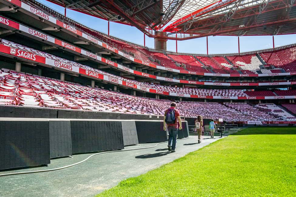 bilde nr.3 av Lisboa: Omvisning på Luz stadion og billett til SL Benfica-museet m/Scarf aktivitet i Lisboa, lastet opp av leverandør