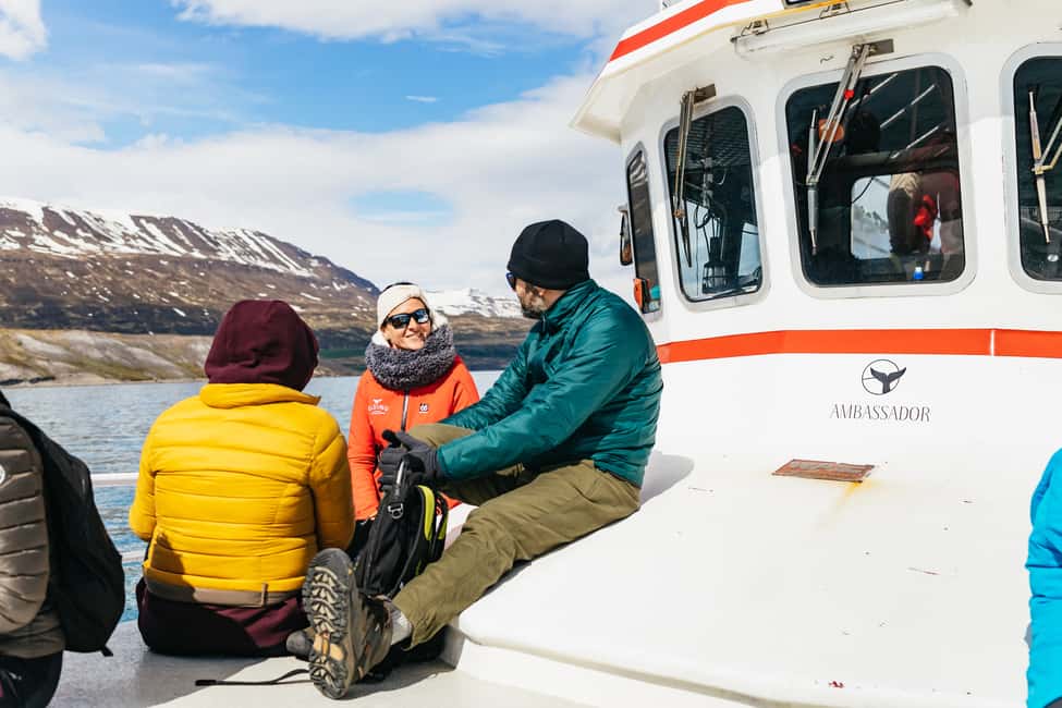 bild nr.13 av Akureyri: 3-timmars klassisk valskådningstur med fartyg aktivitet i Norðurland eystra (Nordöstra regionen), uppladdad av arrangören