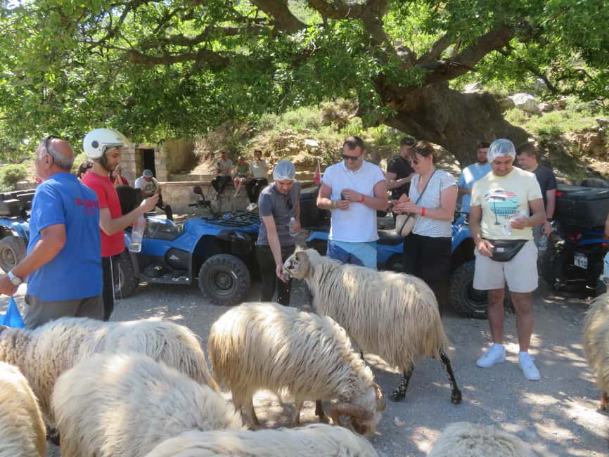 image n.7 of Hersonisos - Malia :off-road quad safari with transfer+Lunch activity in Neapolis, Crete, uploaded by supplier