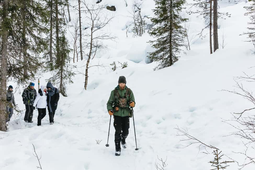 image n.10 of From Rovaniemi: Korouoma Canyon and Frozen Waterfalls Tour activity in Lapland, uploaded by supplier