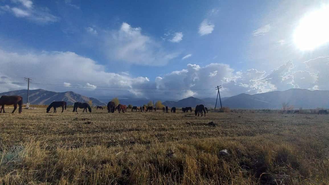 billede nr.25 af aktiviteten Issyk-Kul-søen, Barskoon-vandfald og kløfter (2 dage) i Issyk-Kul Region, uploadet af udbyder