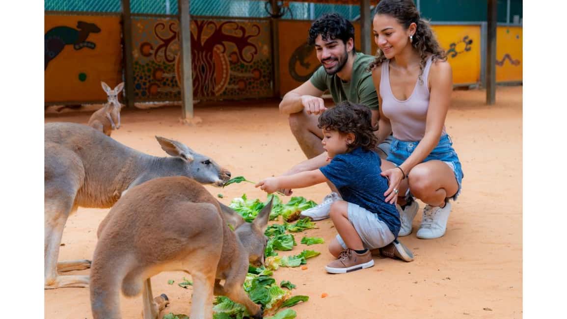 image n.22 of San Antonio: San Antonio Zoo Any Day Ticket activity in San Antonio, uploaded by supplier