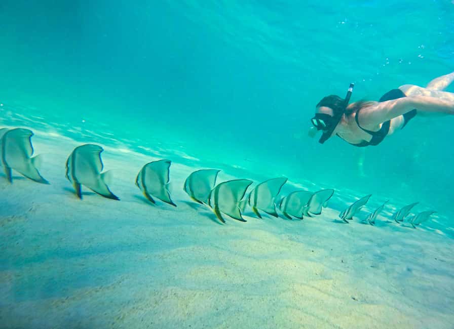 billede nr.11 af aktiviteten Privat charterbåd rundt i snorkelparadiset Koh Tao i Ko Tao, uploadet af udbyder