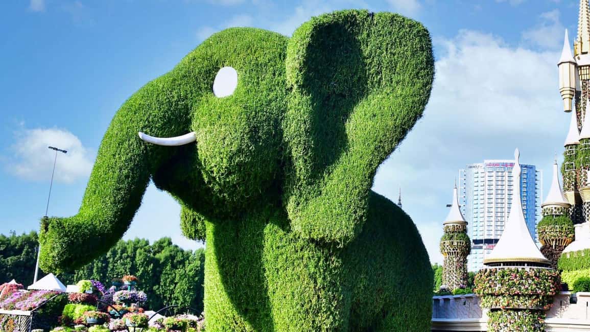 imaginea n.8 a activității Dubai: Excursie privată la Miracle Garden & Global Village în Dubai, încărcată de organizator