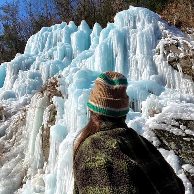 imagen n.º 2 de Desde Seúl: Alpaca World, Eobi Ice Valley, isla de Nami actividad en Chuncheon, subida por el proveedor