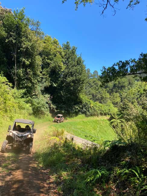 image n.15 of Madeira: Off-Road Buggy Driving Experience activity in Madeira, uploaded by supplier