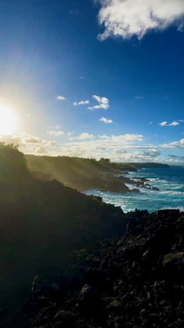 Immagine nº 11 di Escursione alle pozze di marea segrete - Giungla e costa - Privato attività a Pahoa, caricata dal fornitore