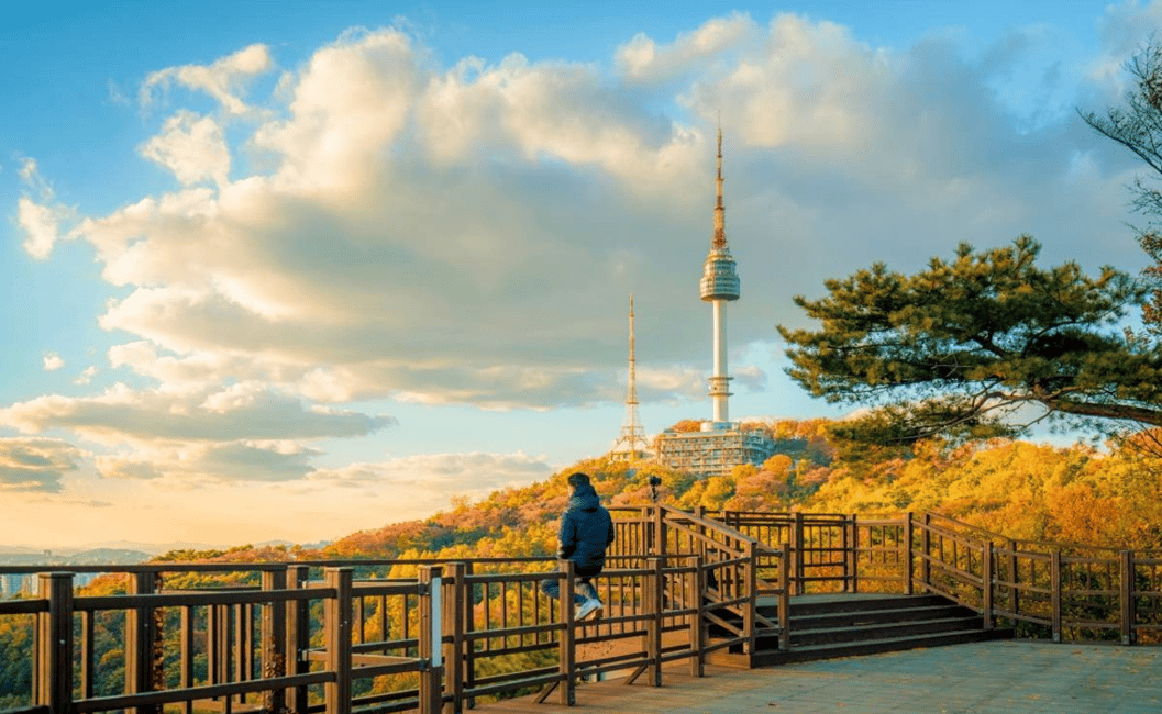 image n.5 of Seoul: N Seoul Tower Observatory Ticket activity in Seoul, uploaded by supplier