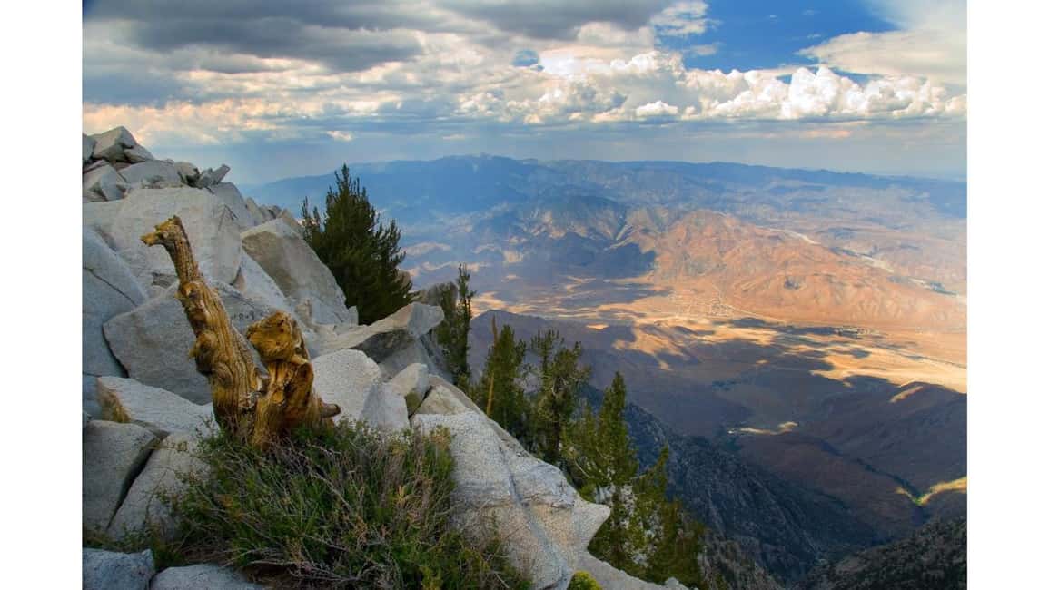 image n.3 of Palm Springs: Aerial Tramway Round-Trip Ticket activity in Palm Springs, uploaded by supplier