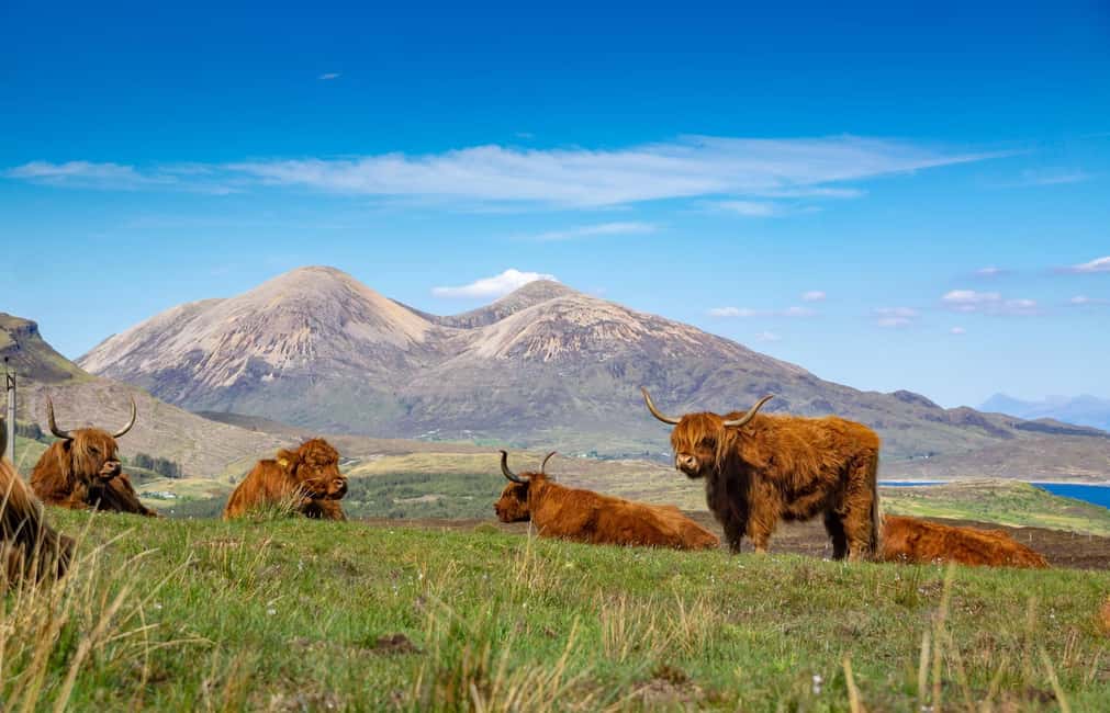 billede nr.6 af aktiviteten Privat dagstur til det berømte Glenfinnan, Glencoe og meget mere i Glencoe, uploadet af udbyder